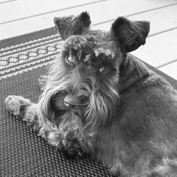 Meet your Posher, Marti - Picture 1 of 8